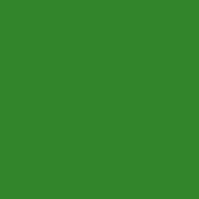 Barevný karton A3, 160 g, tm. zelený, č. 9