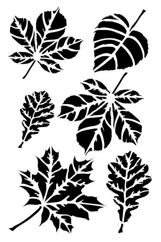 Šablona Listy 2 , 20 x 30 cm, plast - 1