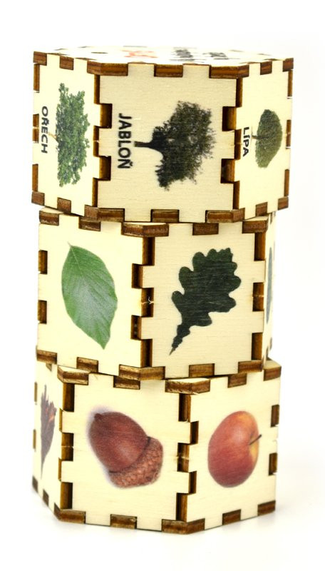 Učební pomůcka - Stromy, listy, plody, 12 x 6,5 cm - 2