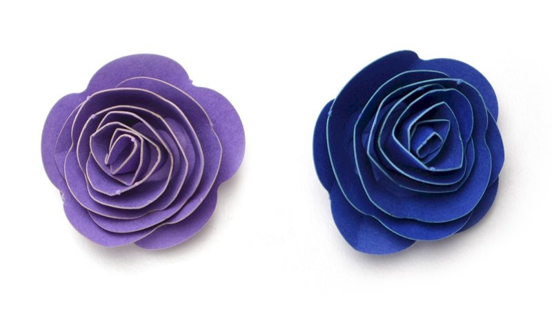 Výřez stáčené kytky modrá/fialová