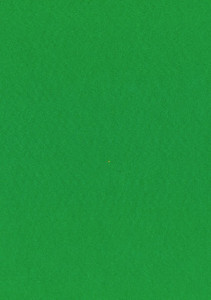  Dekorační plsť 20x30 cm, 2 mm, 350 g, zelená č. 67