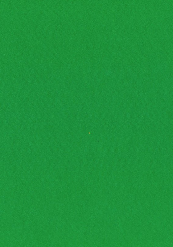  Dekorační plsť 20x30 cm, 2 mm, 350 g, zelená č. 67