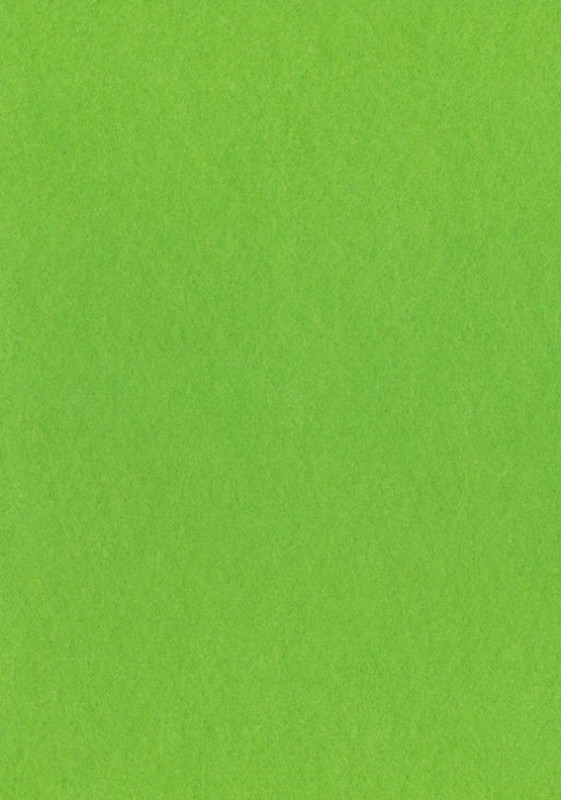 Dekorační plsť 20x30 cm, 2 mm, 350 g, sv. zelená č. 61