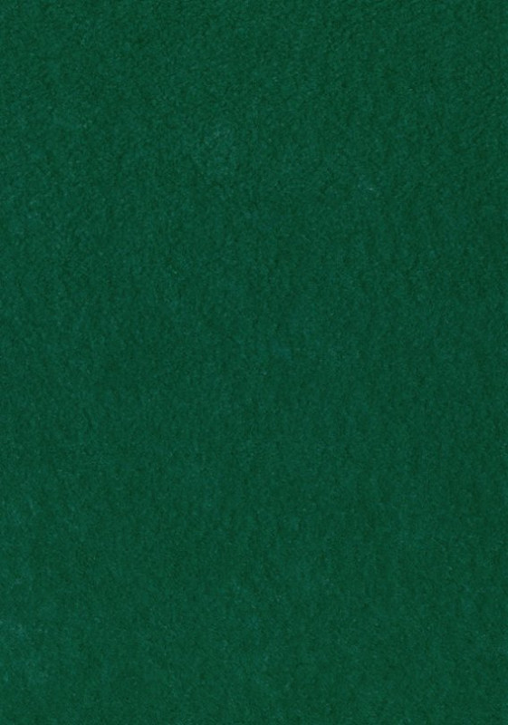 Dekorační plsť 20x30 cm, 2 mm, 350 g, tm. zelená č. 69